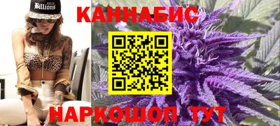 сатива Краснознаменск