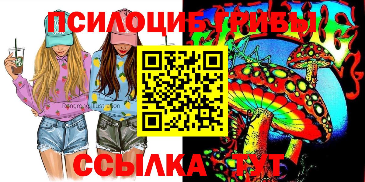 Галлюциногенные грибы Psilocybine cubensis  Вход с VPN  Холмск 